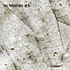 THE TELESCOPES ##4