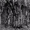 SUNN O))) Black One