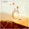 TIDAL moment