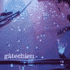 GATECHIEN 2