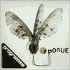 PROGRAMME bogue