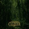CALDERA mist through your consciousness