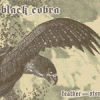 BLACK COBRA feather and stone