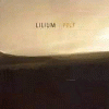 LILIUM felt