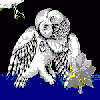 SONGS: OHIA Magnolia Electric Co.