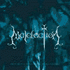 MALEFACTION where there is power there is always resistance