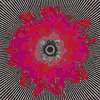 GUAPO five suns