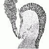 RUDIMENTARY PENI Archaic ep