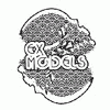 EX MODELS chrome panthers