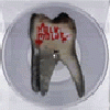 HOLY MOLAR s/t