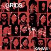 GRIDS  Kansas LP Permanent records/Lunchbox records 2010
