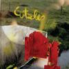 cuticles-major-works-lp-siltbreeze-records-2023
