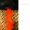 gogogo-airheart-out-every-window-the-snap-envy-greed-cd-gsl-records-2000