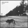 medianoche-refugio-autoproduction-2026