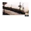 purr-open-transport-cd-prohibited-records-2000