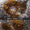 sbatax-gross-lapilli-relative-pitch-2026