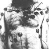 zhed-aria-nel-petto-solium-records-2026